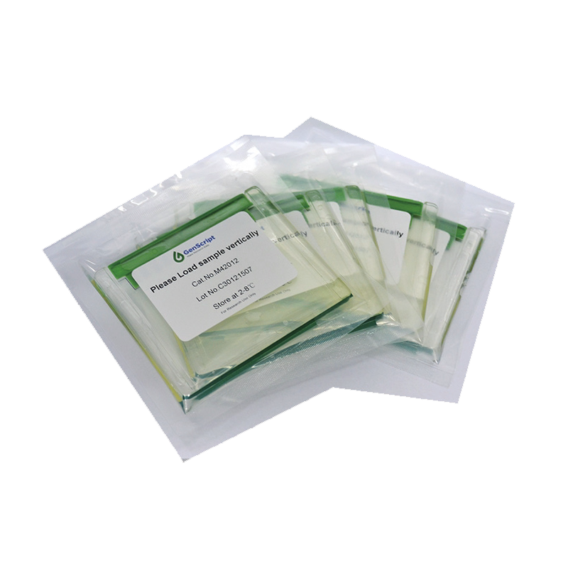 金斯瑞 Genscript SurePAGE蛋白预制胶sds-page 电泳蛋白胶4%-20% 10孔/12孔/15孔 10块/盒 包邮