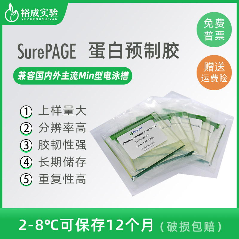 金斯瑞 Genscript SurePAGE蛋白预制胶sds-page 电泳蛋白胶4%-20% 10孔/12孔/15孔  10块/盒 包邮