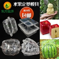 Fruit styling tool fancy humanoid pear watermelon loofah growing mini orchard ginseng fruit large doll pear