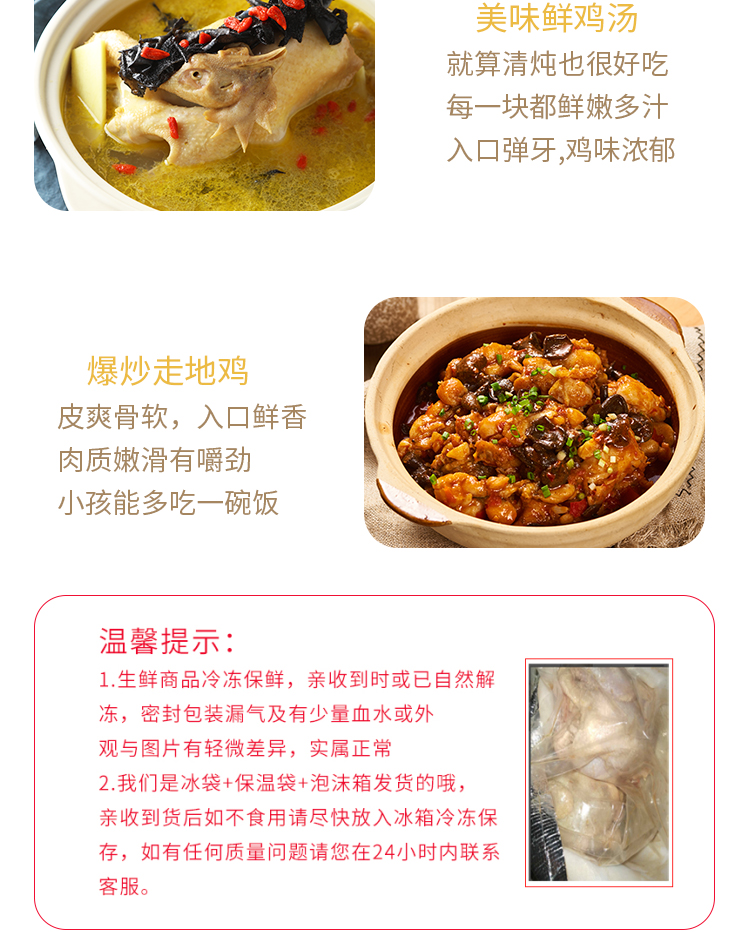 彦伯 农家散养土雏鸡 670g*3只 3个月生长鸡龄 图9