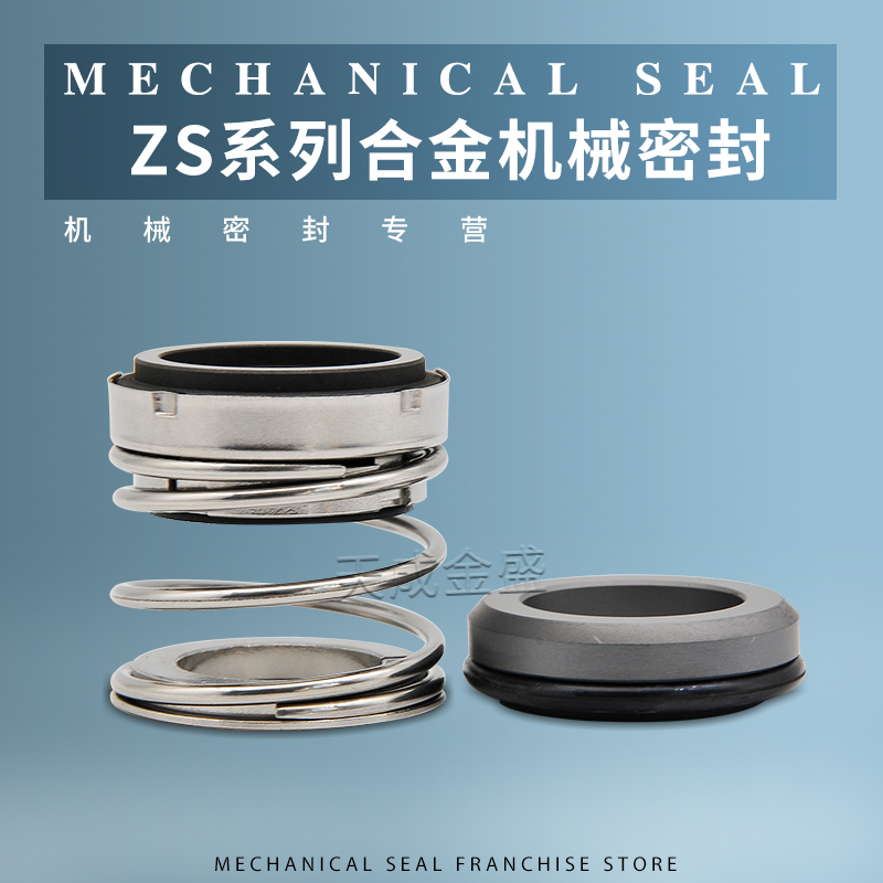 Mechanical seal ZS-24 32 BSE6 BSE4 BSE4 ZS50 80100 horizontal single-stage centrifugal pump machine seal