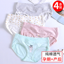 Pregnant women underwear cotton women in the third trimester of pregnancy early maternal low waist triangle shorts head underwear