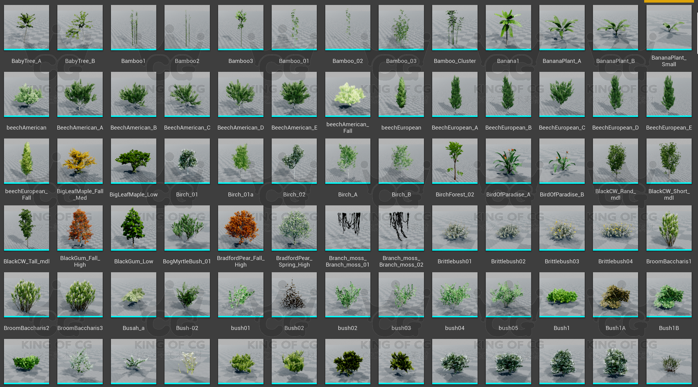 图片[20]-ue4虚幻商城植物花草树木落叶杂草鲜花植被杂木蘑菇自然物大合集-cg男孩