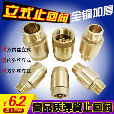 Copper vertical check valve Spring horizontal valve recumbent water pipe check valve inner and outer wire single flow 4 points 6 points