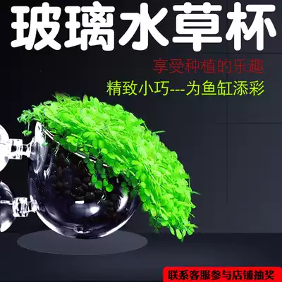 Fish tank water grass cup super white glass tank planting water grass glass cultivation planting landscape Basin