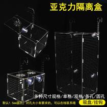 Extra large aquatic plant small fish tank culture fish protection round hole shrimp acrylic isolation box fish culture adult fish newborn