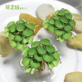 Рыба -аквариум для утки водные травы