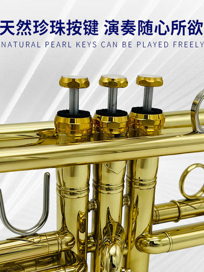 美国巴哈 LT197GS-98 磷铜 降B调 小号乐器 考级 演奏 正品