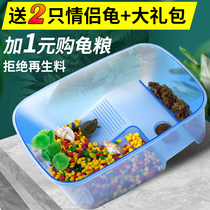 Turtle cylinder household brewery with tank climb fish tank cylinder villa for a large-scale special basin