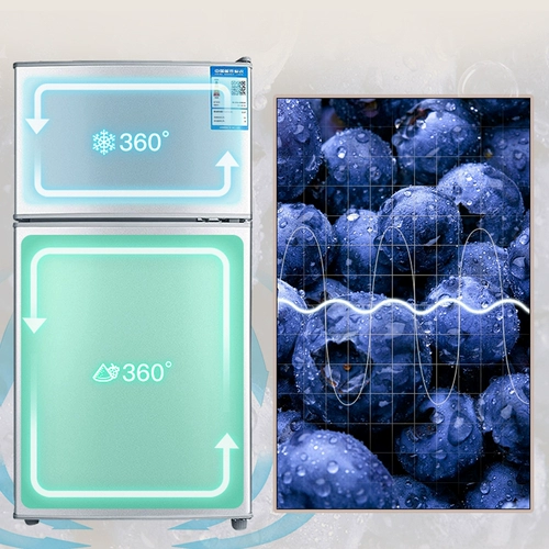 ХОЛОДЕЖДЕНИЕ ХОЛОДЕЖДА XIAXIN Домохозяйство Небольшое двойное общежитие используется для одного или двух человек с мини -двойными холодильниками на мини -двойном холодильнике