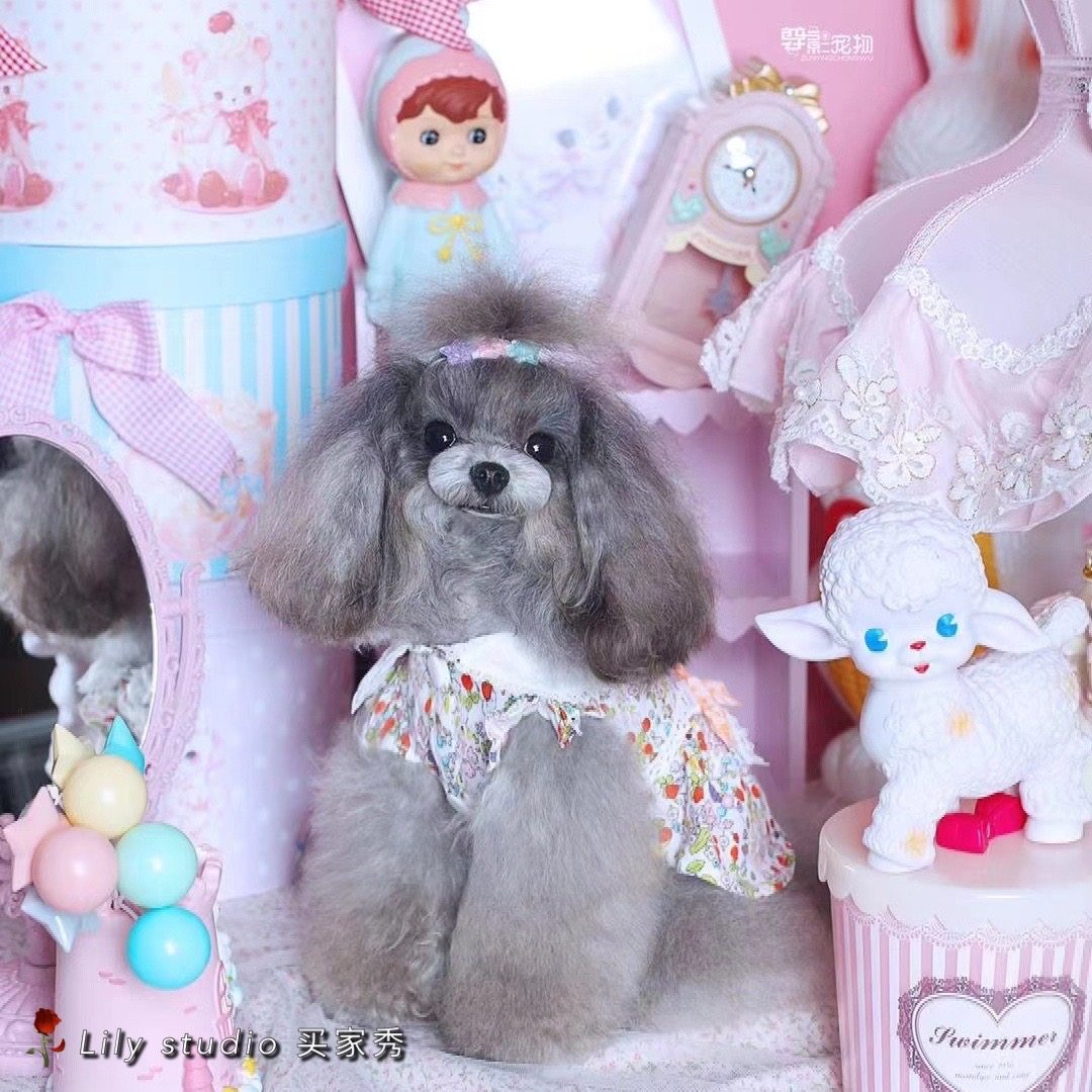 Lily studio handmade pet headdress Teddy Yorkshire Schmalzies colorful five-pointed star head flower