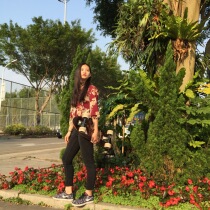  War wing small fish board Travel four-wheeled road skateboard Cheerup series 65mm wheel 72mm wheel 29-inch small board