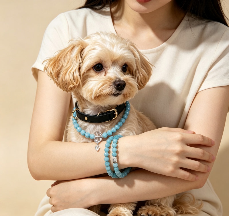 Natural Blue Crystal Pet Collar Bracelet for Women, Single Circle, Fashionable and Versatile Jewelry Gift for Girlfriend or Best Friend Natural Blue Crystal Pet Collar Bracelet for Women, Single Circle, Fashionable and Versatile Jewelry Gift for Girlfriend or Best Friend