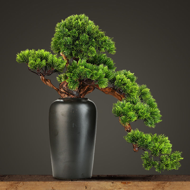 New Chinese Greeting Guest Loose Display Cabinet Decoration Xuanguan Partition Light Extravagant Crafts Gifts Swing Accessories Shop New Store Opening Tricks of the Shops