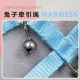 Новая эйдж Новый Анджи кролик, связанный с кроличьим кроличьим кроличьим кроличьим кроличьей кроличьей голландской свиньи