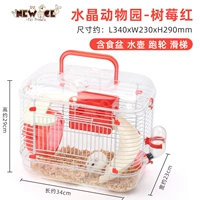 Модернизированный Raspberry Red (Slide+Runge Wheel+Food Basin+чайник)