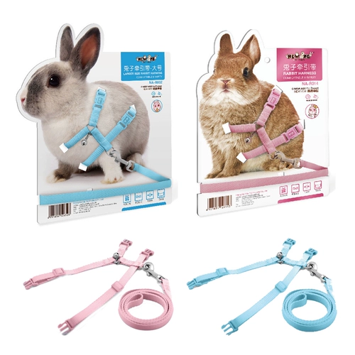 Новая эйдж Новый Анджи кролик, связанный с кроличьим кроличьим кроличьим кроличьим кроличьей кроличьей голландской свиньи