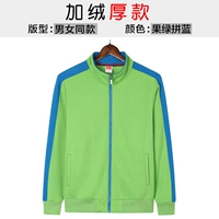 【Толстая модель】 фрукты зеленый и синий