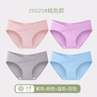 Purple+Pink+Blue+Grey 4 установлена ​​модель 20020