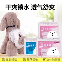 Puppy Physiological Banns Teddy Pet Diapers, брюки, моча, без влажных собак, собак, купол для эструса, выделенная менструальная гвардия