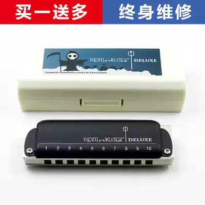 Destroy Blues Delux ten-Hole Blues 10-hole beginner harmonica DBD DB PADDY