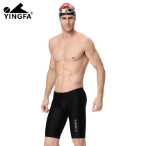 yingfa men's and knee sharkskin Fina professional swimming pants swimsuit gear