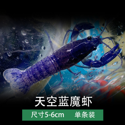 [蓝鳌虾橘鳌虾/白鳌虾鳌虾侏儒橘鳌虾/佛兰虾樱花虾2只装]