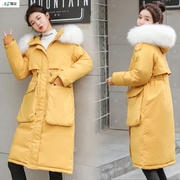 Winter Coat Jacket 2020 mới mùa đông bông Quần áo của phụ nữ