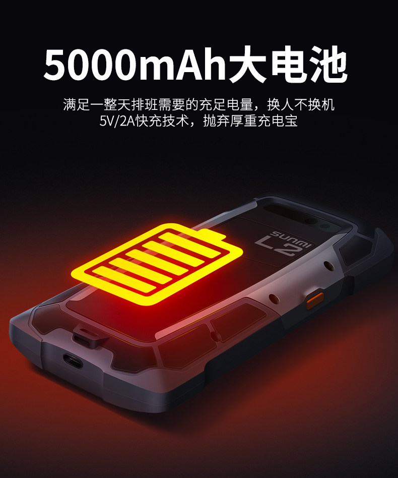 Страница сведений L2 - с головой сканирования -790_09.jpg