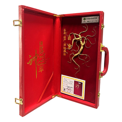 索芝新款长白山野山参干