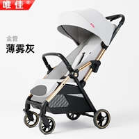 Золотая трубка - туман серый