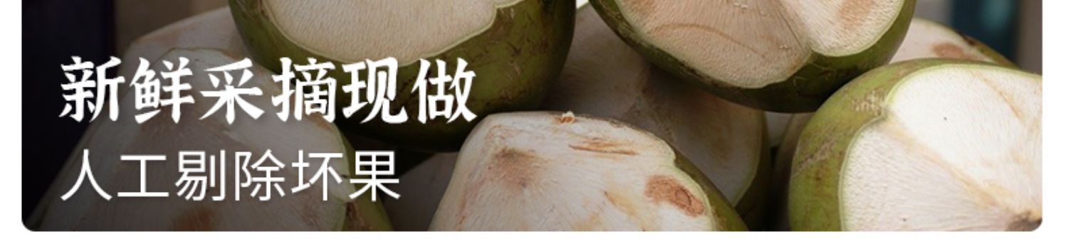 【哥来了旗舰店】海南特产椰子脆片100g