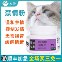 Kitty Forbidden Pink Hair Emotional Period Mother Cat Public Cat Menopausal Drug Cat Called Suppression Erotic Pink Cat With A Depressive Movie