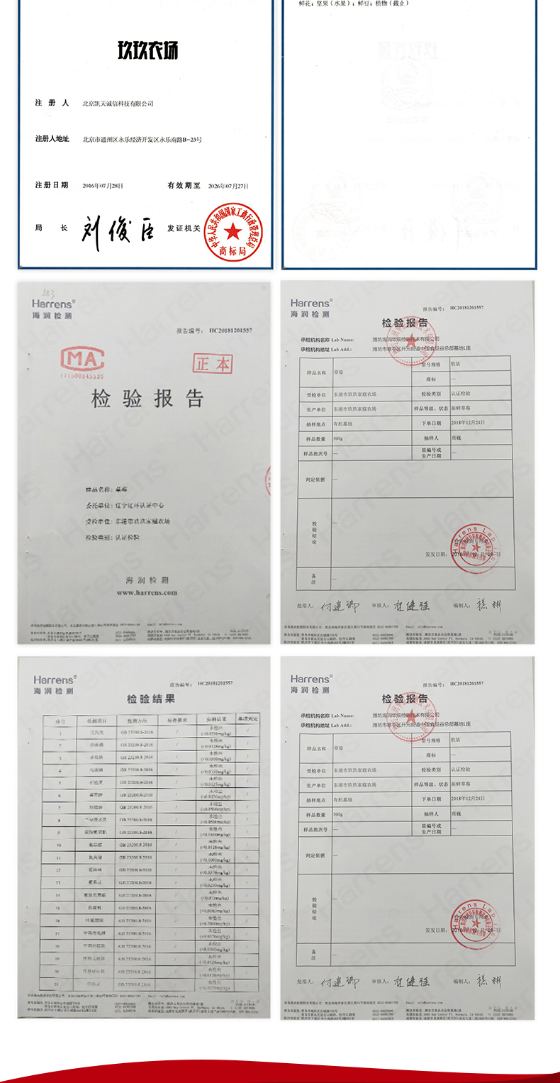 玖玖农场 丹东东港 99红颜奶油草莓 3斤 图12