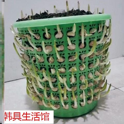 Garlic trash can hollow living room simple bedroom bedroom door plastic paper basket garbage basket solid color toilet