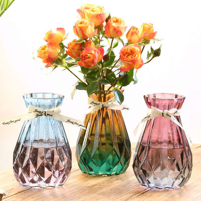 欧式创意玻璃花瓶透明水培绿萝植物玻璃花瓶家用插花客厅装饰摆件
