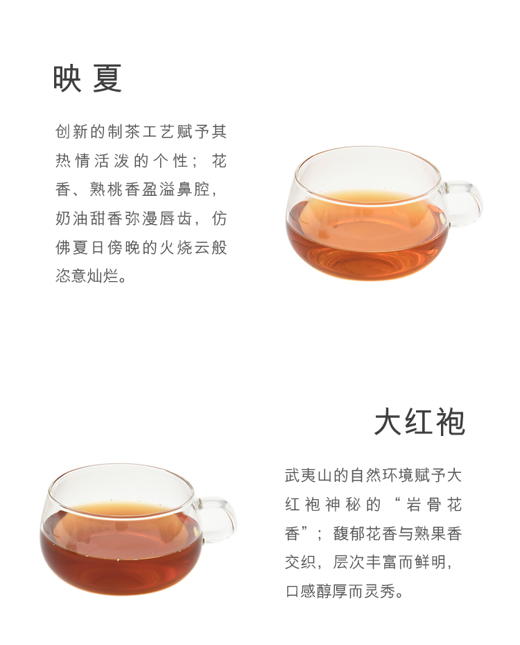 精选2袋泡茶冷萃茶茉莉毛峰冷泡茶包10味