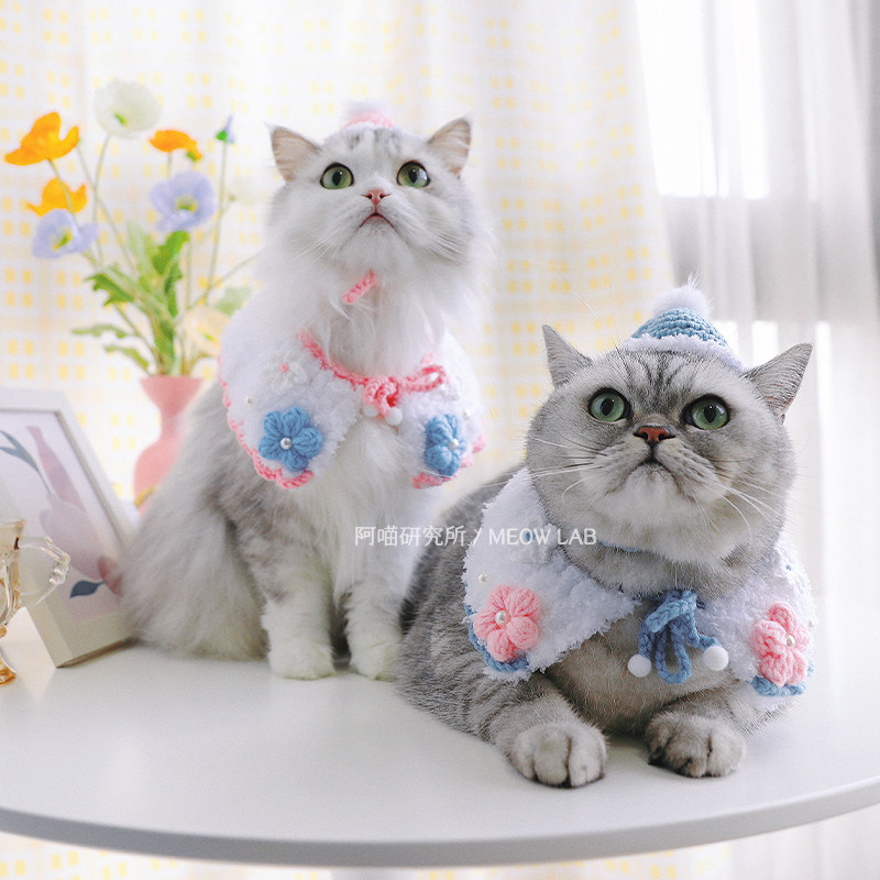 Ameow Institute Original Winter Day Limited Kitty Hat Handwoven Scarf neck cute pet clothes headwear