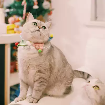 Ameo Research Institute new pet flag triangle mouth towel hand-woven bib cat collar knitting