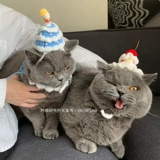 Милая шапка ручной работы, плетеный трикотажный шарф, аксессуар для волос