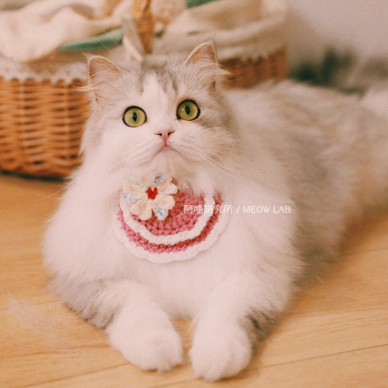 A Miao Research Institute New pet bib saliva towel couple models cat cute collar knitted hand-knitted