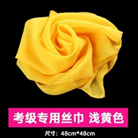 Экзамен Специальный шелковый шарф [Желтый 48*48]