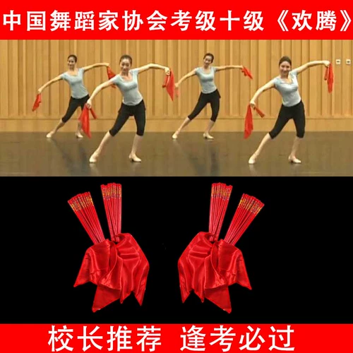 Четырех -летний магазин 19 цветов китайской танцевальной ассоциации термин галстук.