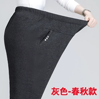 Серый [весна и осень сгиба]]