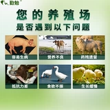 Гранулы Banqing используют расчистку и детоксикацию тепла, чтобы предотвратить простуду и предотвратить появление тепла на розовых зверях Banlangen для свинины, овец, курицы, цыплят