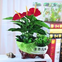 Anthurium artificial flower plastic fake flower potted plant smooth sailing home decoration bonsai indoor living room table green plant ornaments