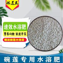 (Special for bowl lotus) Wullian water-soluble fertilizer Lotus solid particles slow-release fertilizer hydroponic plants and flowers