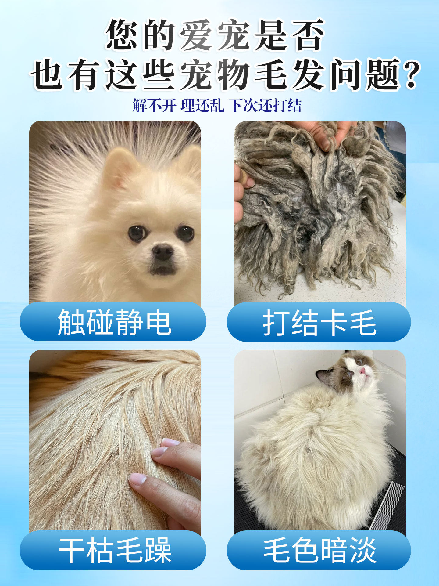 Pet Hair Detangling, Smoothing, Bathing Care, Fluffy Hair, Special Hair Care for Cats and Dogs, Bichon Frise, Antibacterial and Deodorizing
