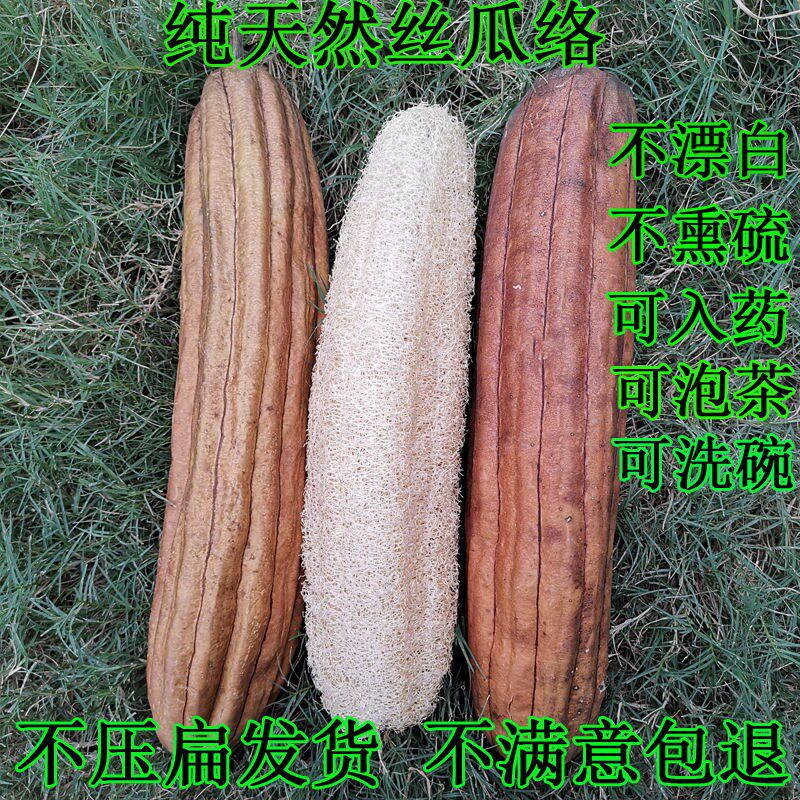 Natural silk melon network with shell medicinal pulp boiled water through milk Lower milk farmhouse old coarse water melon to wash dishes and bath