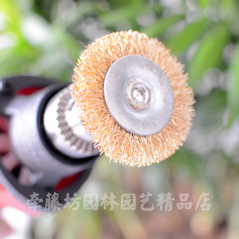 Bonsai relic dry production modeling electric grinding steel brush head Garden gardening tools treasurer recommended